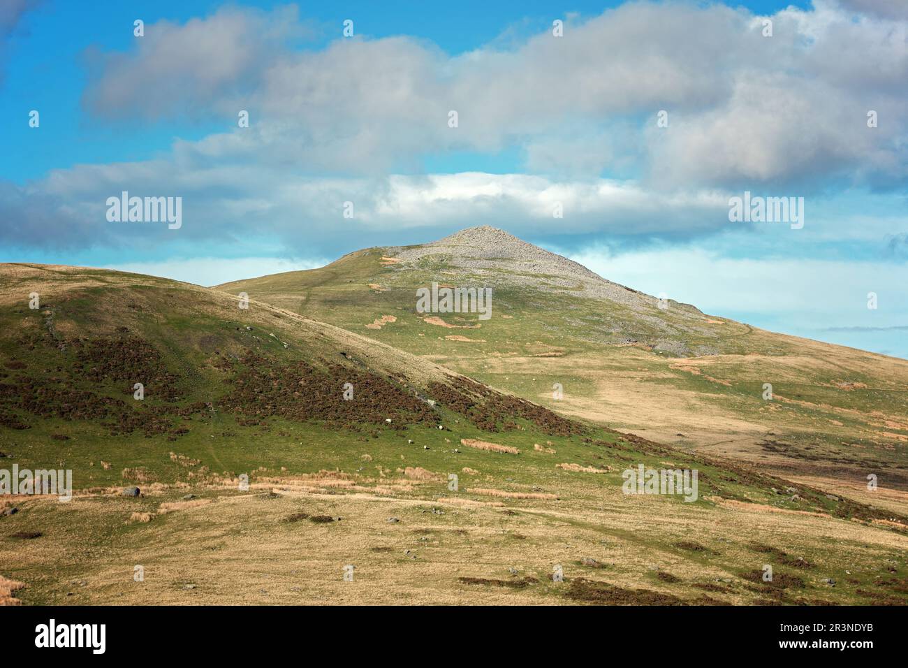 Il Gyrn è una delle cime meno visitate della catena del Carneddau nel Parco Nazionale di Snowdonia. Foto Stock