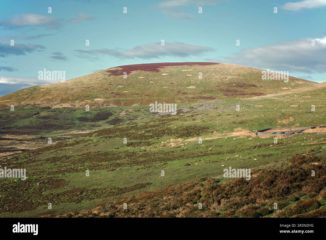 Il Moel Wnion è una vetta della gamma Carneddau nel Parco Nazionale di Snowdonia. Un caino in cima è un antico monumento programmato. Foto Stock