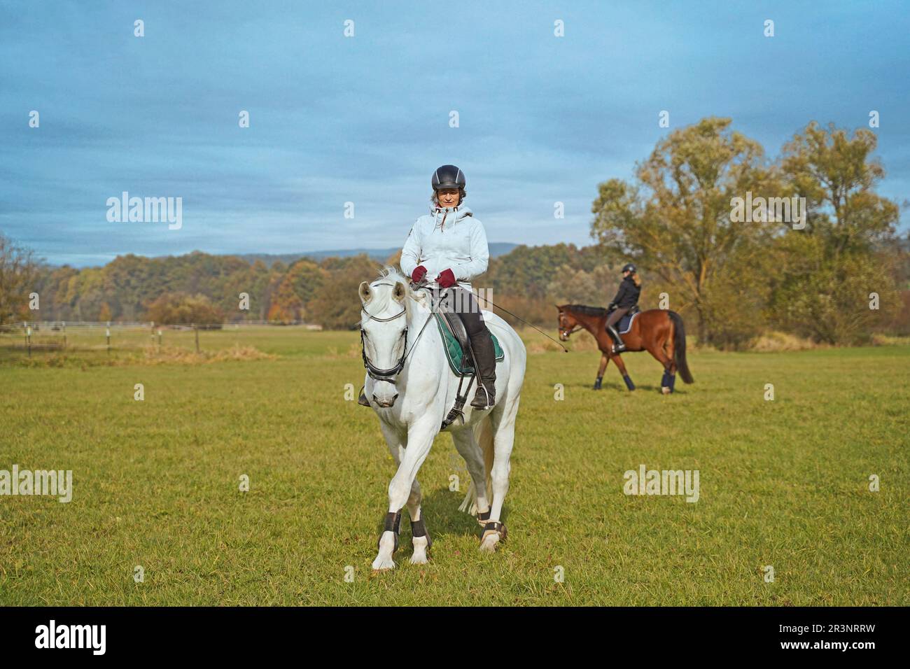 Fotografare a cavallo bianco su un maneggio Foto Stock