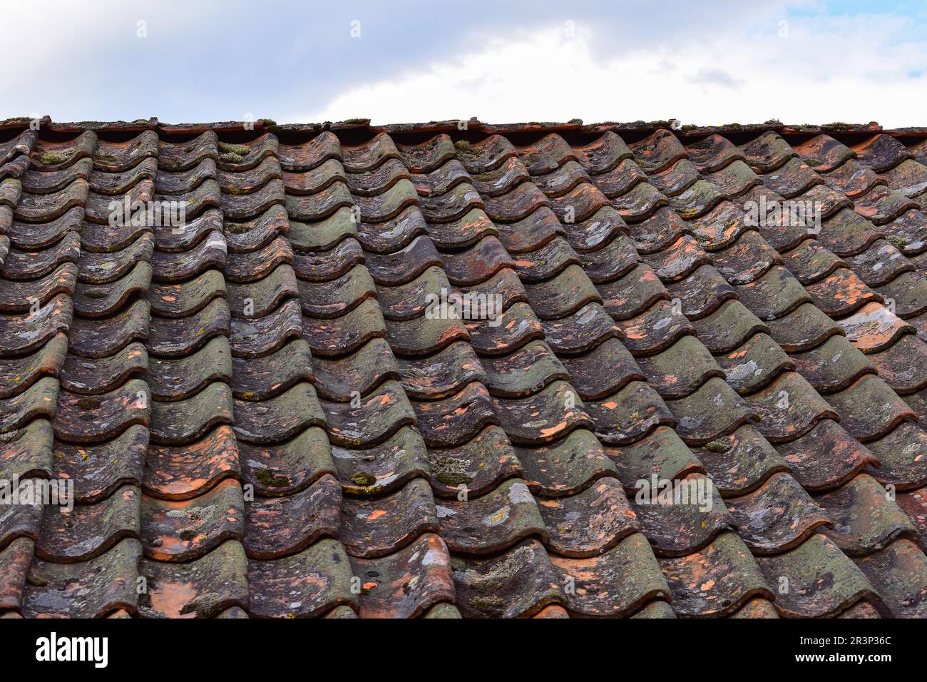 Vecchio tetto piastrellato coperto di muschio, texture di sfondo dettagliate Foto Stock