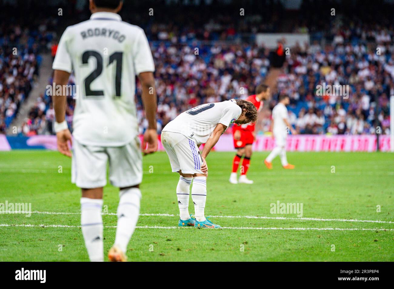 Madrid, Madrid, Spagna. 24th maggio, 2023. Luka Modric (Real Madrid) durante la partita di calcio tra.Real Madrid e Rayo Vallecano.valido per il giorno 36 della partita spagnola della prima divisione 'la Liga' celebrata a Madrid, Spagna allo stadio Bernabeu mercoledì 24 maggio 2023 (Credit Image: © Alberto Gardin/ZUMA Press Wire) SOLO PER USO EDITORIALE! Non per USO commerciale! Foto Stock