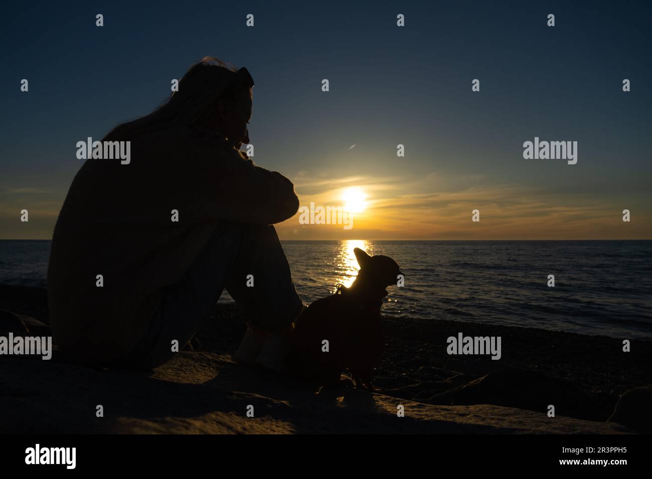 Una giovane donna e un terrier giocattolo sono seduti sulla riva al tramonto. Camminare con un cane sul mare. Foto Stock
