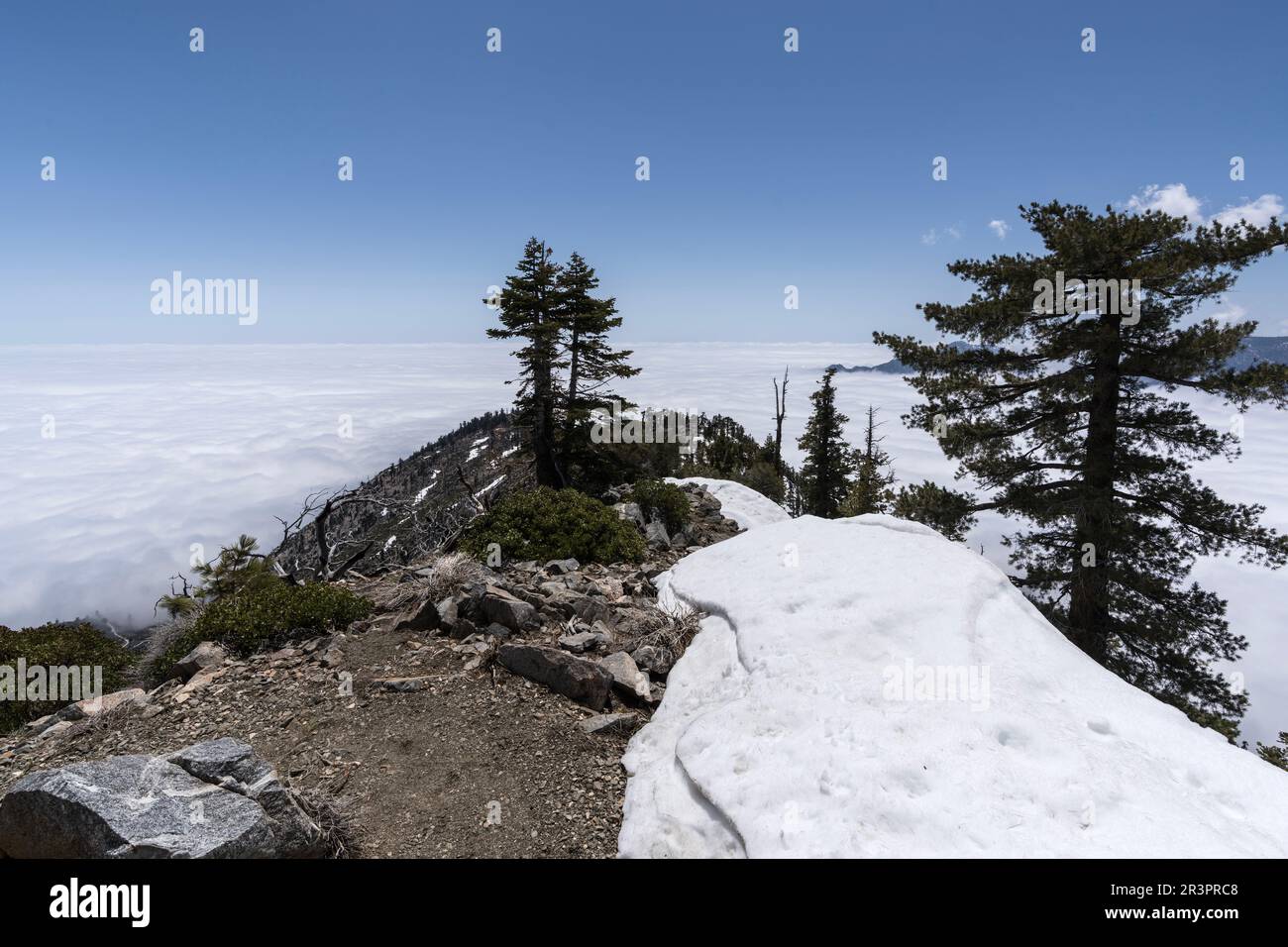 Ammira le nuvole dal monte Islip Peak nelle montagne di San Gabriel della contea di Los Angeles, California. Foto Stock
