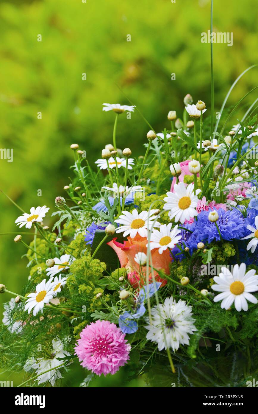 bouquet colorato con fiori di giardino, margherite, fiori di mais e rose Foto Stock