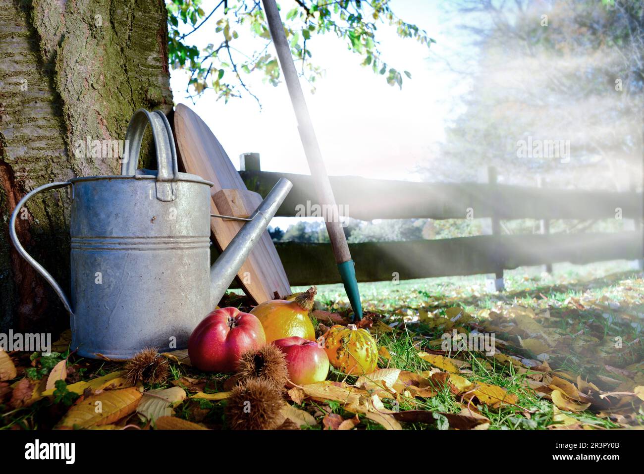 Annaffiatoio, mele, castagne e rastrello in un giardino in una mattina misticosa, Germania Foto Stock