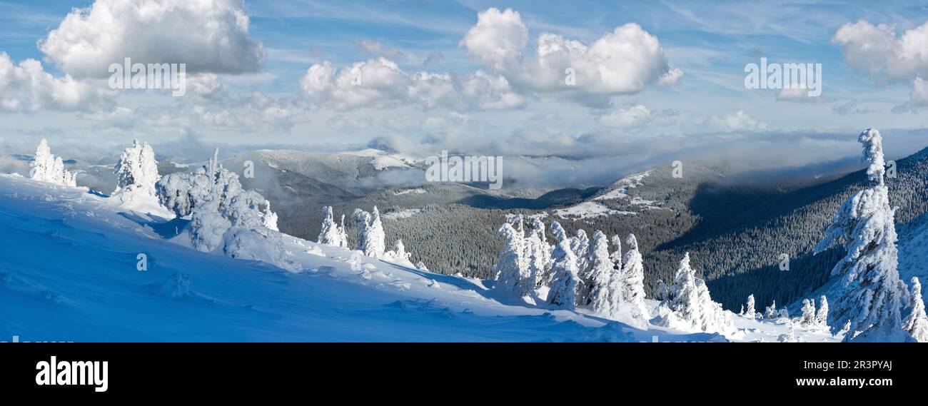 Inverno panorama di montagna con alberi innevati Foto Stock