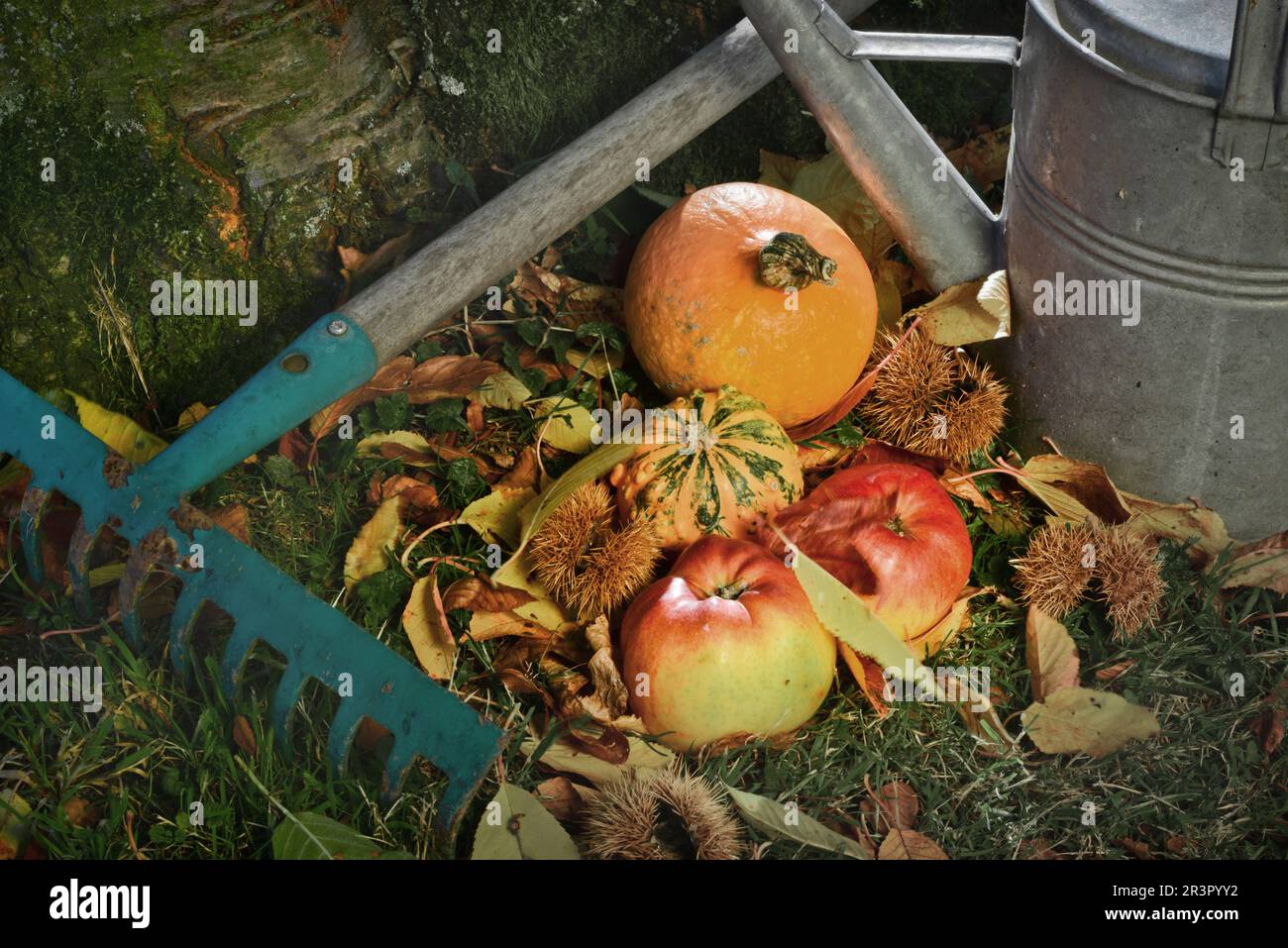 Annaffiatoio, mele, castagne e rastrello in un giardino, in Germania Foto Stock