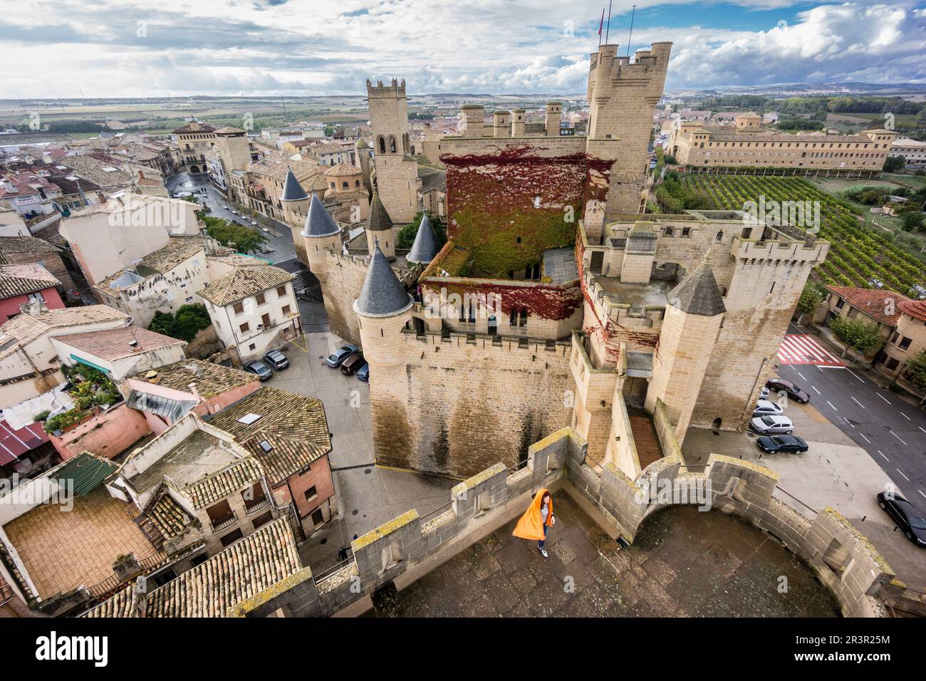 Castillo palacio de Olite,Comunidad Foral de Navarra, Spagna. Foto Stock