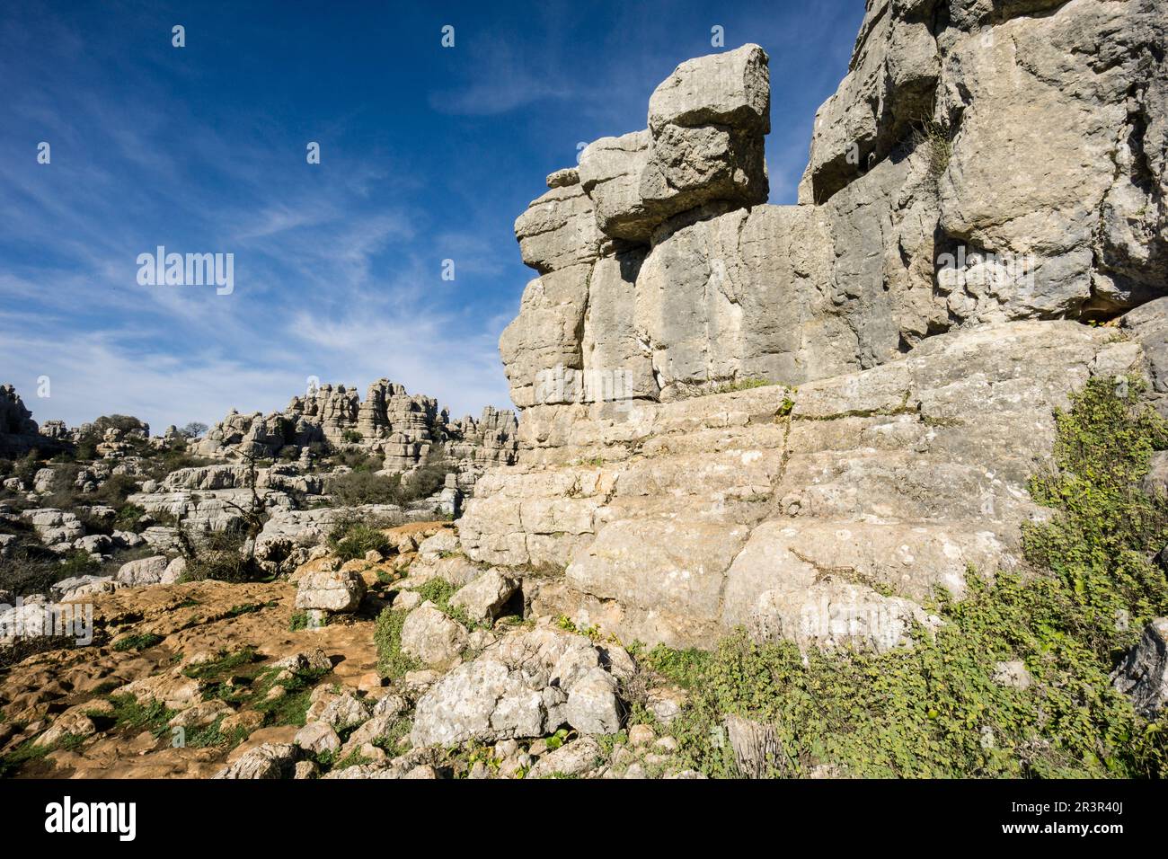 Paraje Natural Torcal de Antequera, términos municipales de Antequera y Villanueva de la Concepción, provincia de Málaga, Andalusia. Foto Stock
