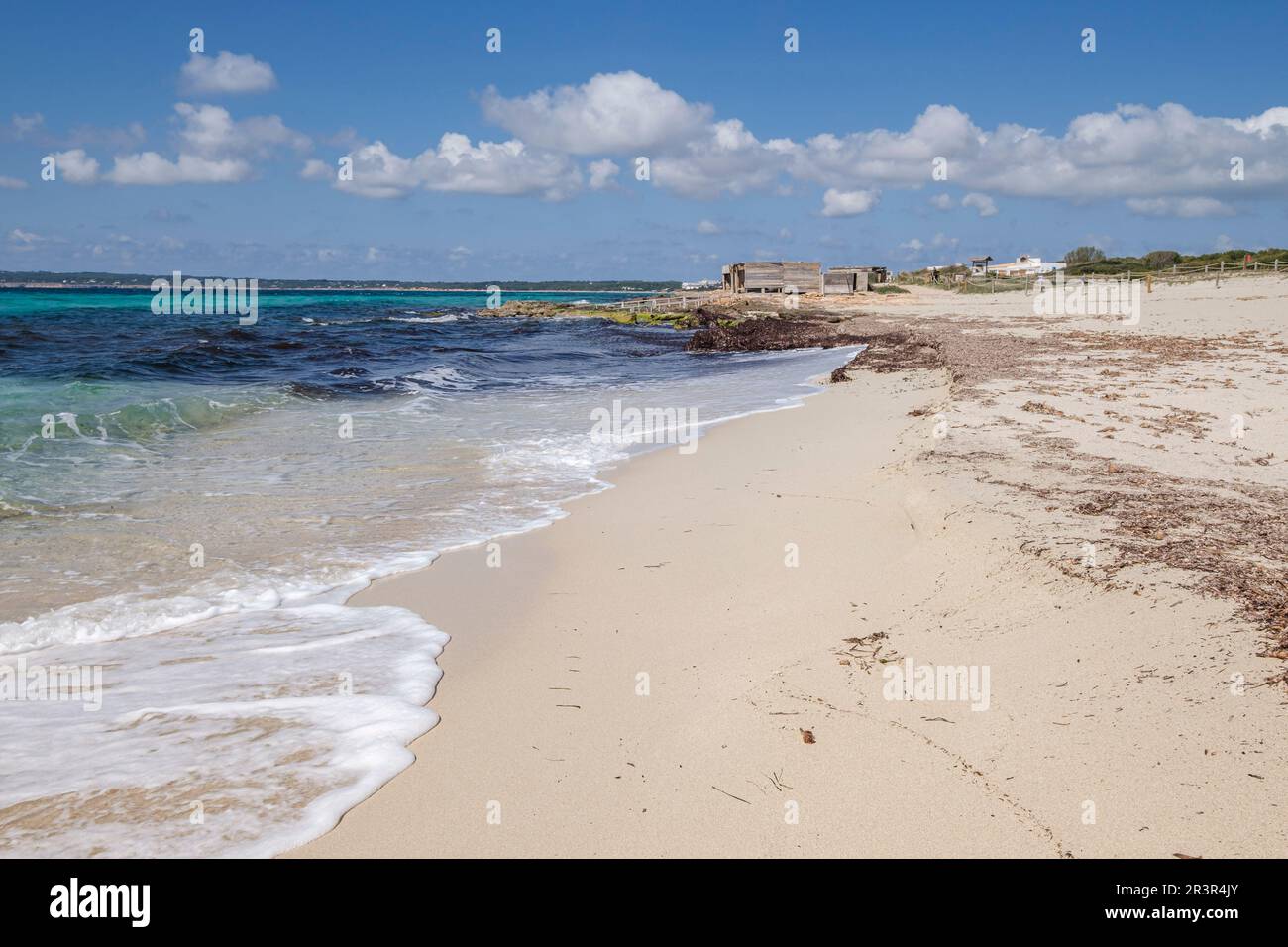 Spiaggia di Migjorn, Formentera, Isole Pitiusas, Comunità Baleari, Spagna. Foto Stock