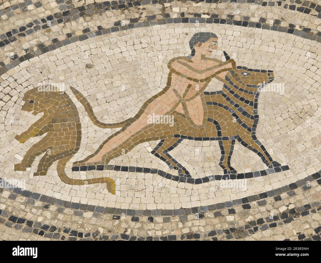 Mosaicos de la Casa de los trabajos de Hércules.Ciudad Romana de Volubilis(II d.c.), yacimiento arqueologico.Marruecos. Foto Stock