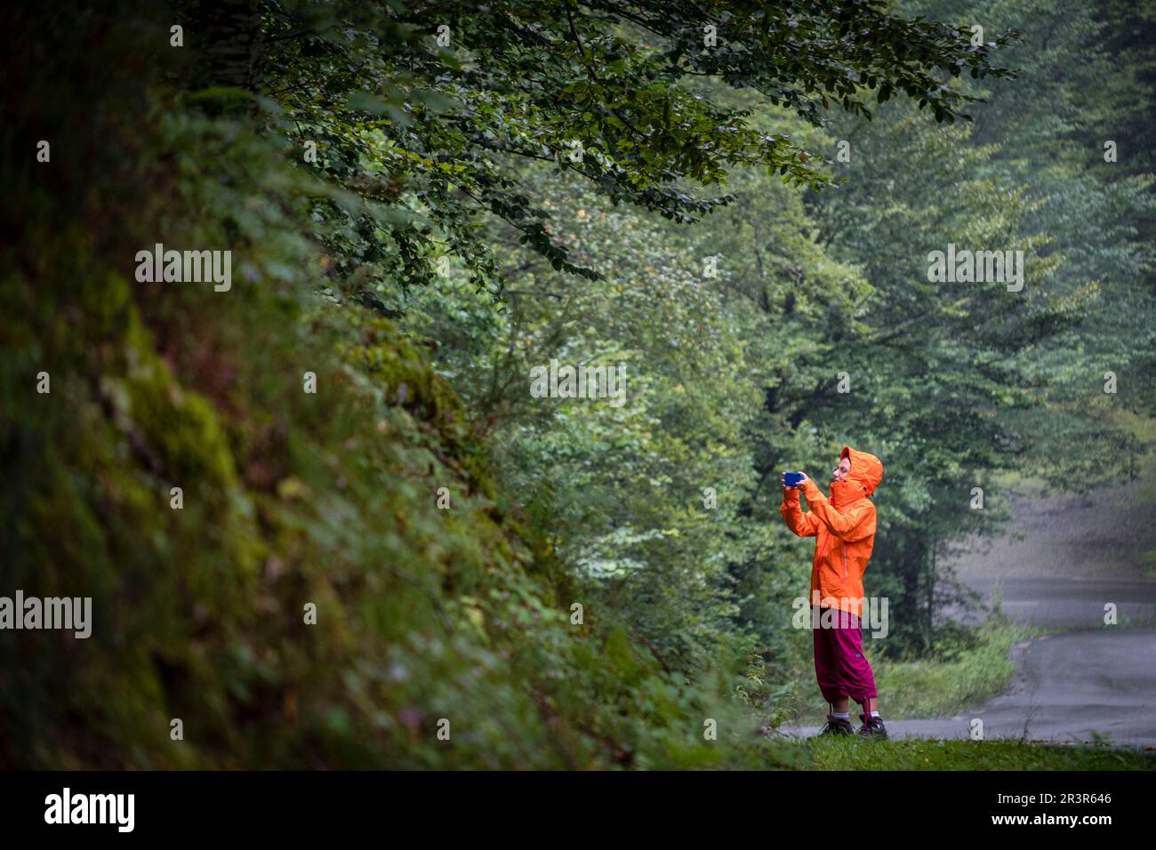 Escursionista fotografiando el bosque, valle de Belagua, Isaba, Navarra, Spagna, Europa. Foto Stock