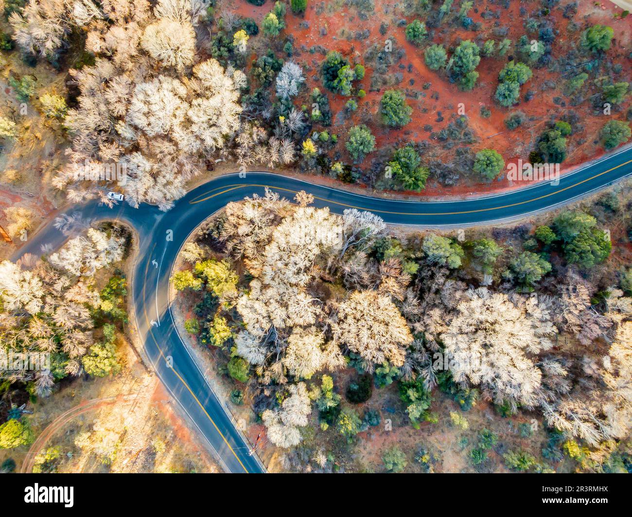 Vista aerea del drone di Un paesaggio del deserto con Una Curvy Road che lo attraversa nel sud-ovest americano Foto Stock