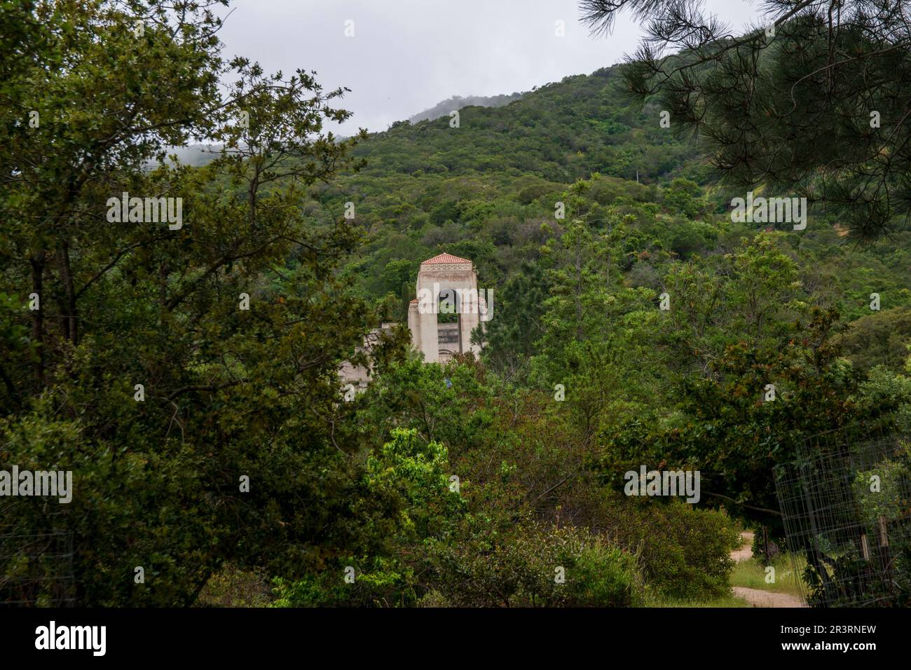 Il Wrigley Memorial & Botanical Garden sull'isola di Catalina ospita molte piante insolite. Foto Stock