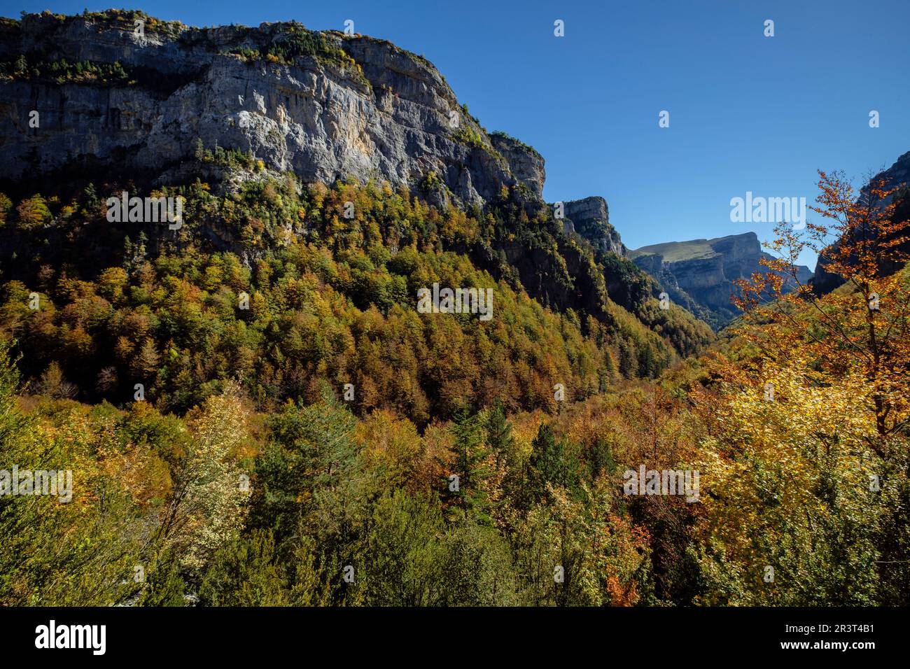 Barranco de la Pardina Parque nacional de Ordesa y Monte Perdido, comarca del Sobrarbe, Huesca, Aragón, cordillera de los Pirineos, Spagna. Foto Stock