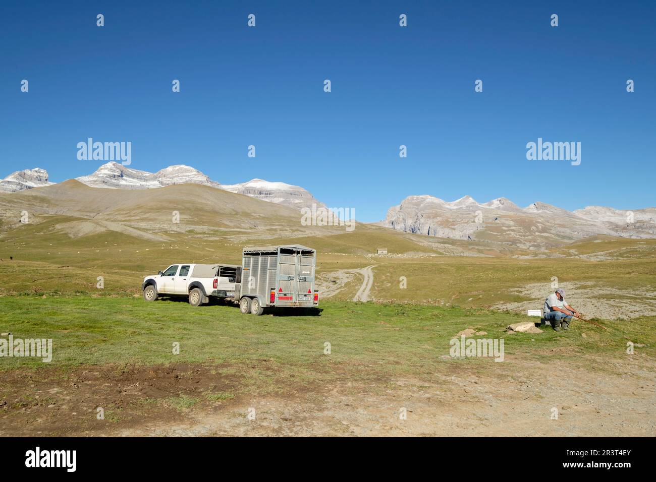 Pastore, Plano Tripals, Parque nacional de Ordesa y Monte Perdido, comarca del Sobrarbe, Huesca, Aragón, cordillera de los Pirineos, Spagna. Foto Stock