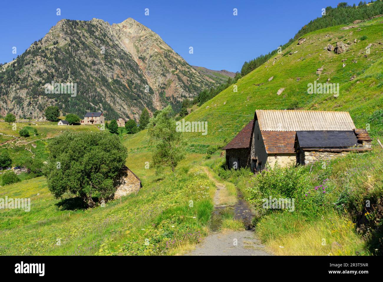 Granjas de biadós, Valle de Añes Cruces, Parque natural Posets-Maladeta, Huesca, cordillera de los Pirineos, Spagna. Foto Stock