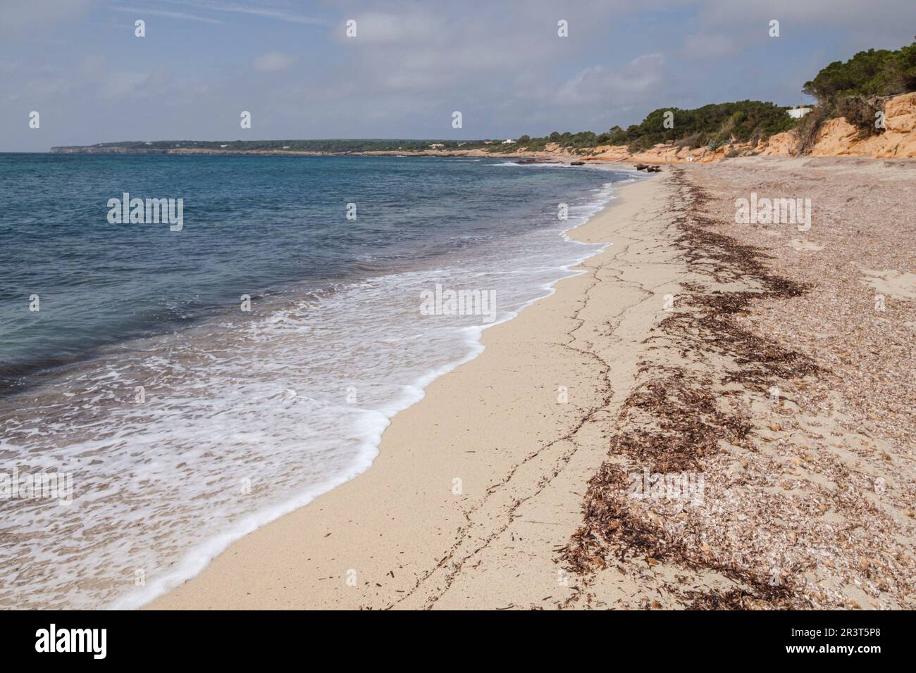 Spiaggia di Migjorn, Formentera, Isole Pitiusas, Comunità Baleari, Spagna. Foto Stock