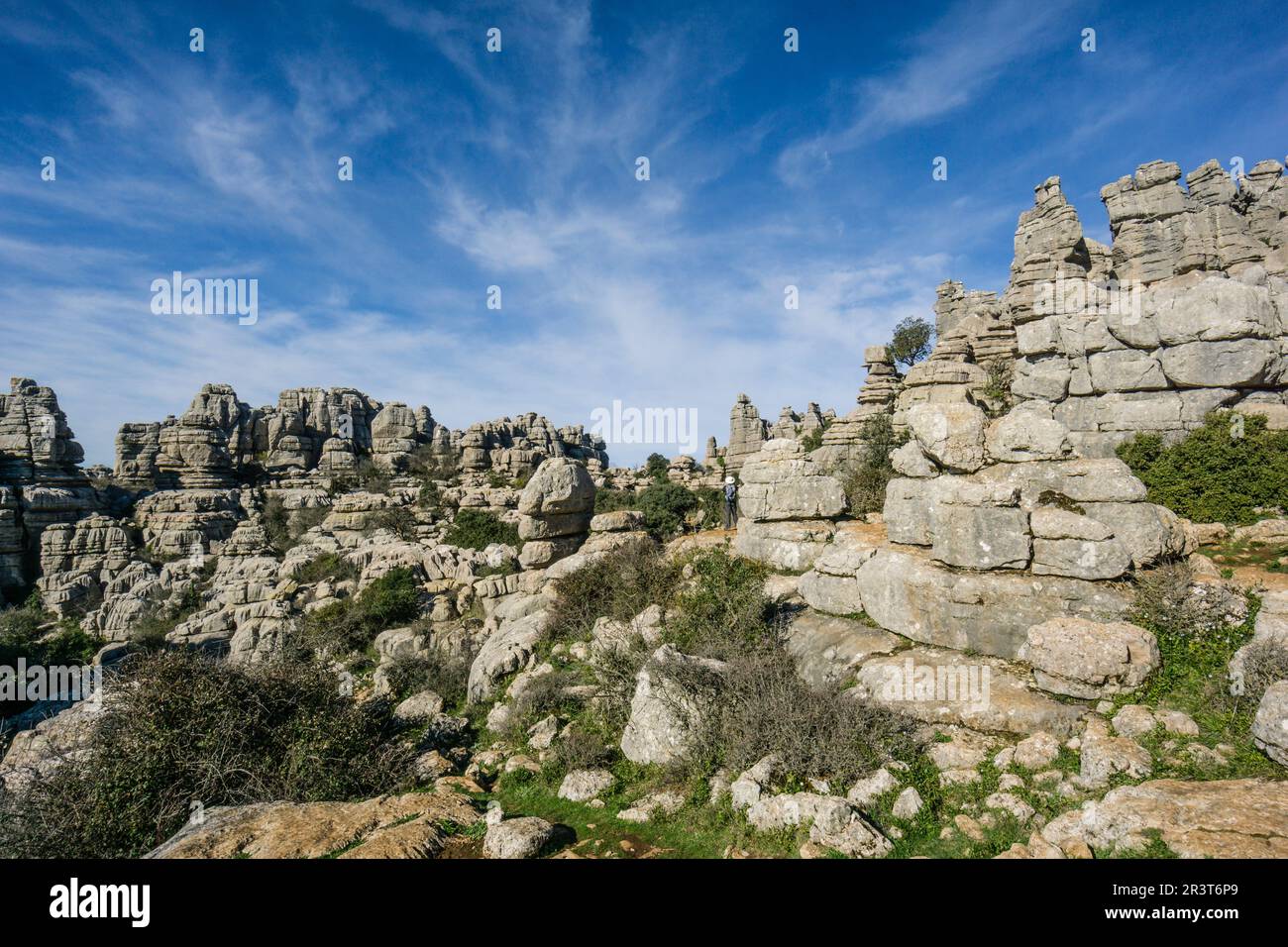 Paraje Natural Torcal de Antequera, términos municipales de Antequera y Villanueva de la Concepción, provincia de Málaga, Andalusia. Foto Stock