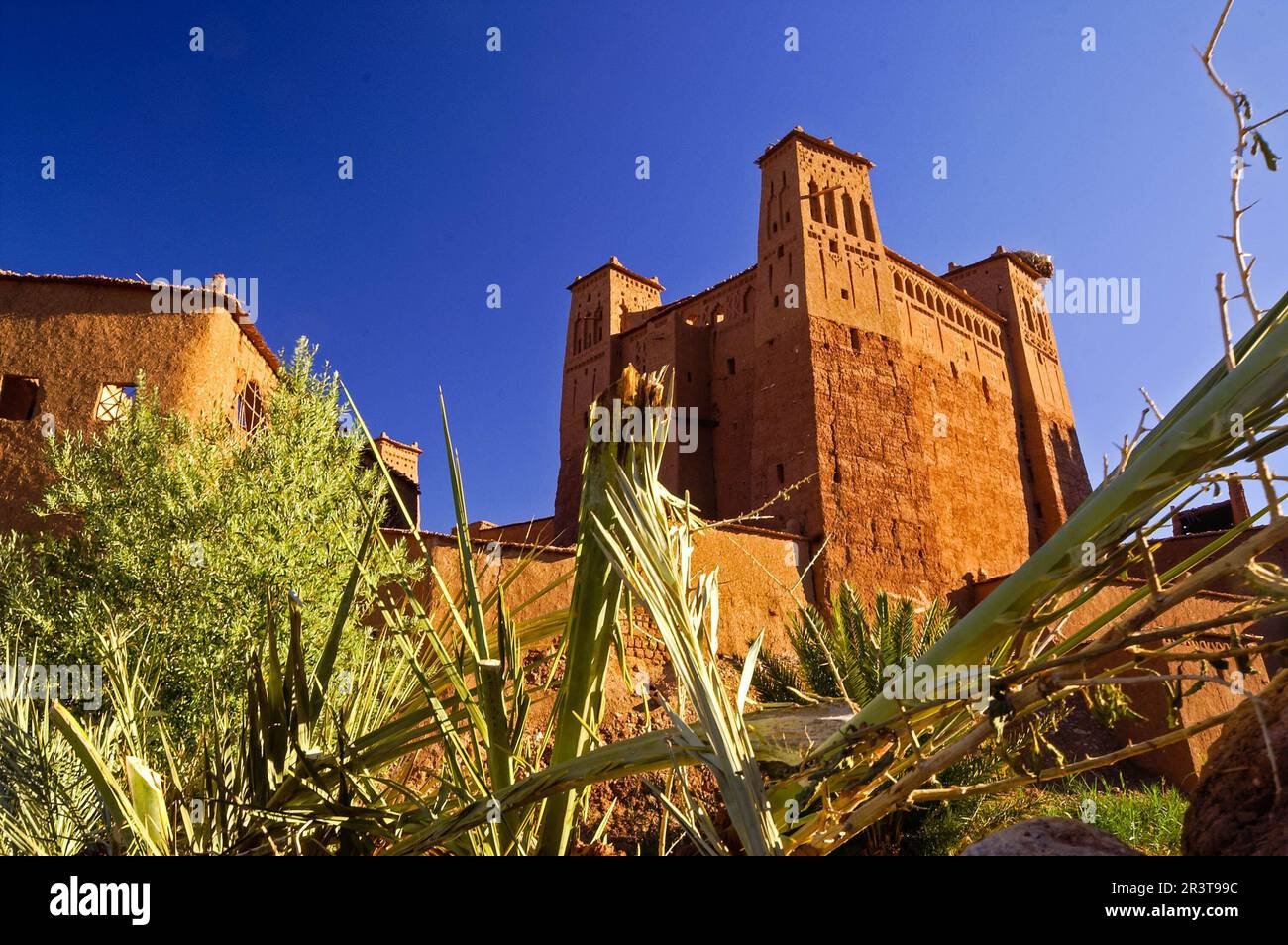 Kasbah de Ait Benhaddou (XVI secolo). Montagne dell'Atlante. Marocco. Maghreb. Africa. Foto Stock