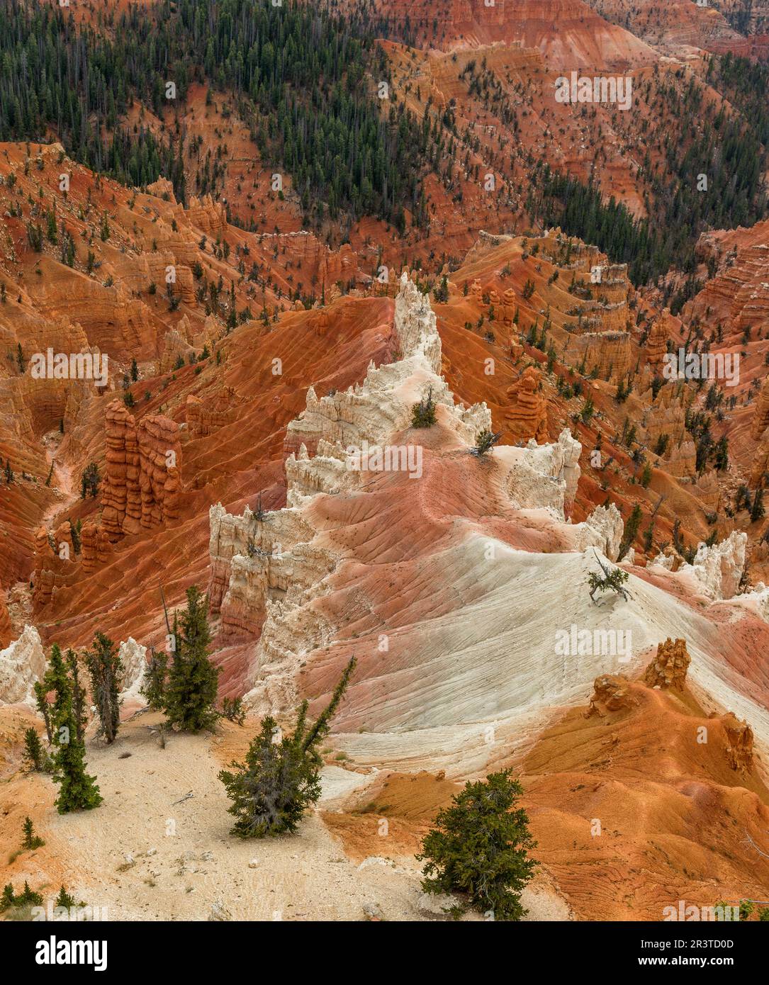 Formazioni di arenaria, Cedar Breaks National Monument, Utah Foto Stock