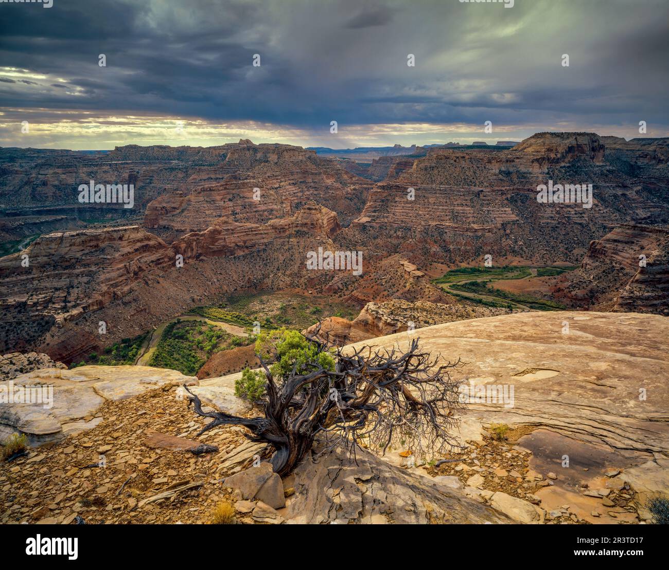 Il Little Grand Canyon, San Rafael Swell, Utah Foto Stock