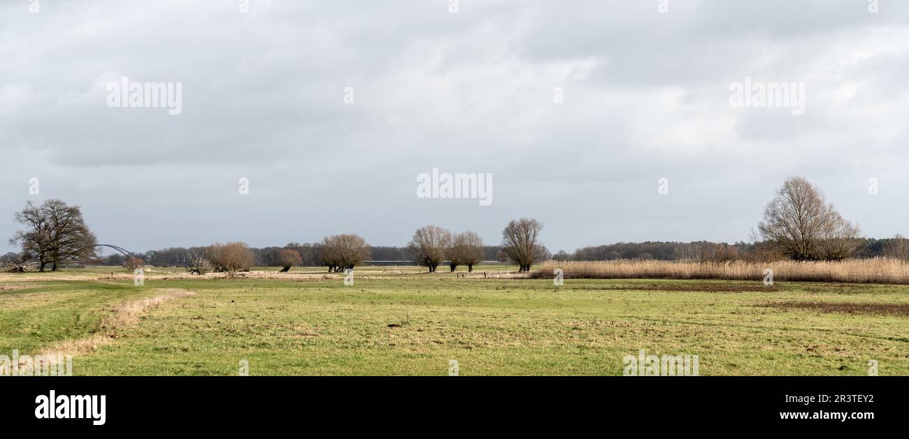 Paesaggio del Elbtalaue nel Wendland Foto Stock