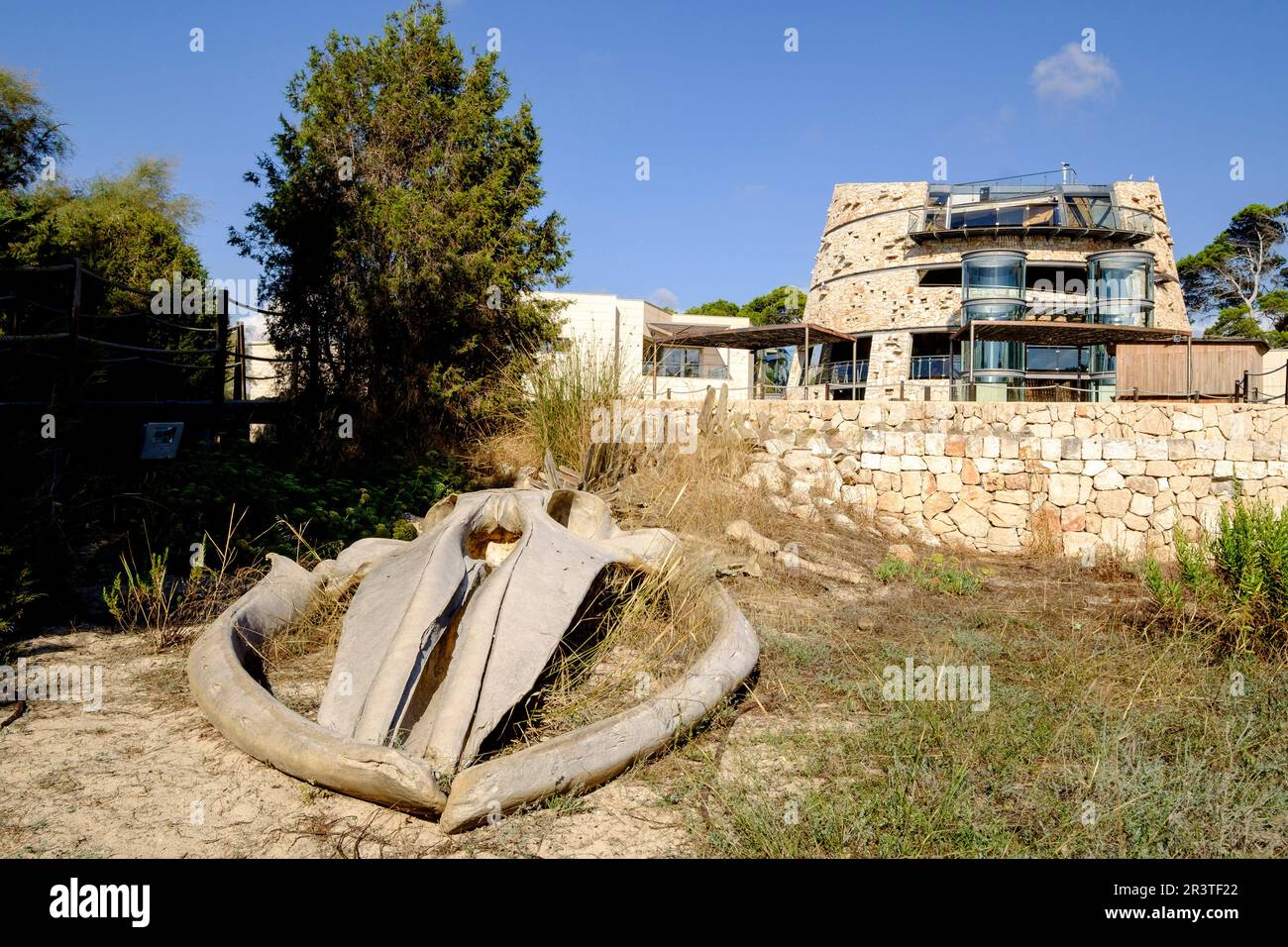 Centro visitatori del parco marino nazionale terrestre dell'archivielago di cabrera Foto Stock