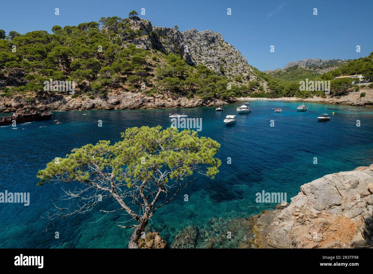 Barche di ancoraggio a Cala Murta Foto Stock