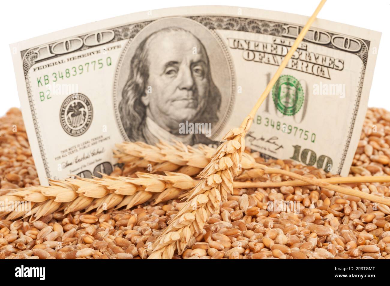 Concetto di reddito agricolo Foto Stock