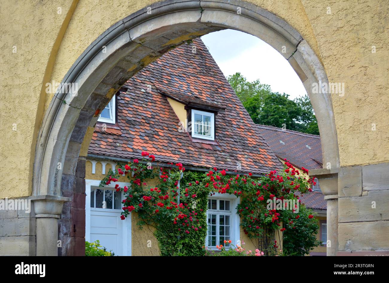 Rose rampicanti rosse sulla facciata della casa, posizione : Bauschlott arco rotondo ingresso al castello Foto Stock