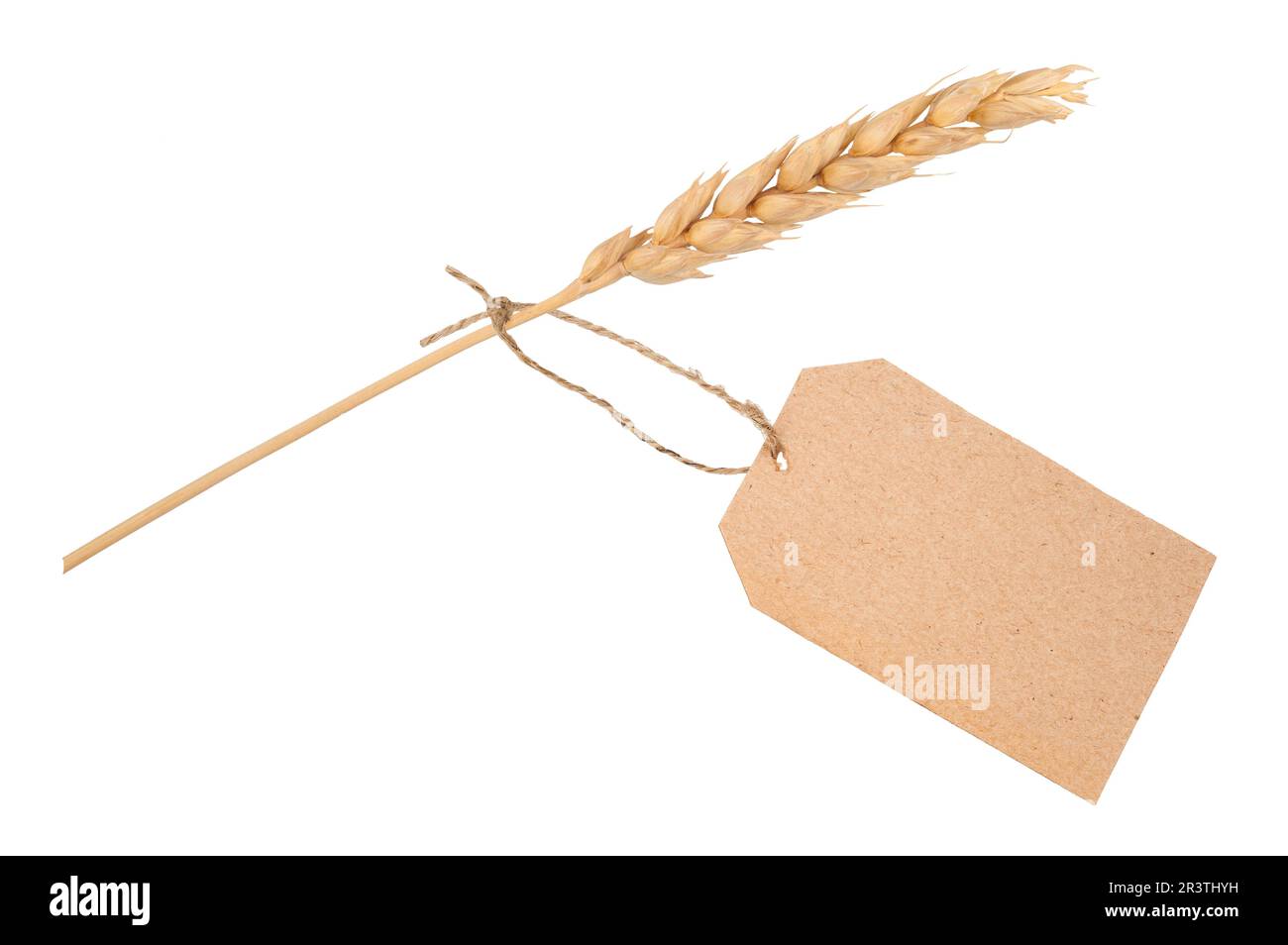 Orecchio di grano con etichetta Foto Stock