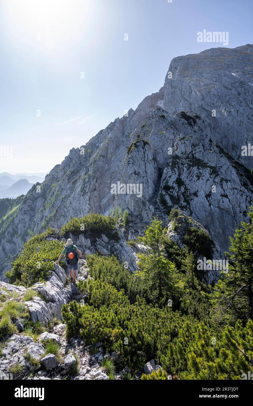 Alpinista sul Mannlsteig, via ferrata sull'Hohe Goell, paesaggio montano, Alpi Berchtesgaden, Terra Berchtesgadener, Baviera, Germania Foto Stock