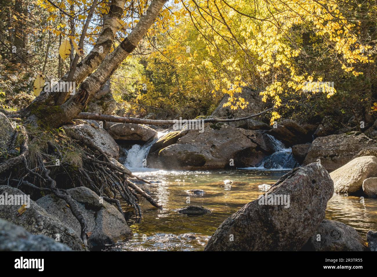 Piccola cascata, Praderas de Colomers, Pirenei, Lleida, Spagna Foto Stock