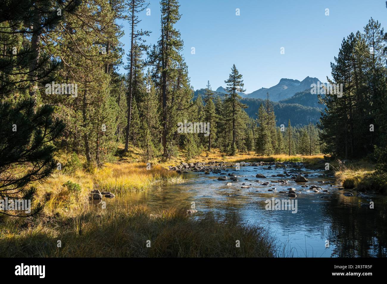 Fiume a Praderas de Colomers, Pirenei, Lleida, Spagna Foto Stock