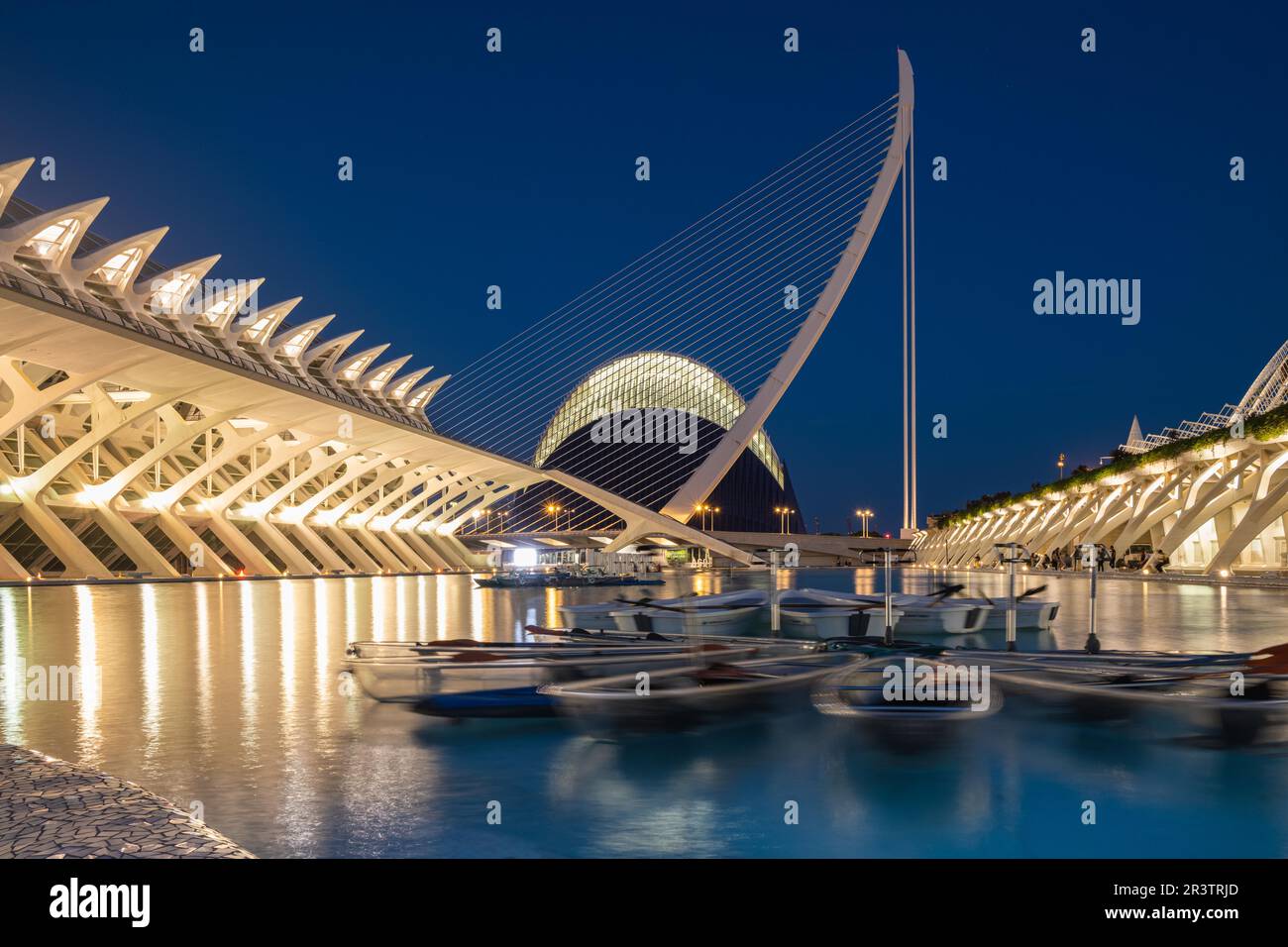 Museo della Scienza Principe Felipe, Valencia, Spagna Foto Stock