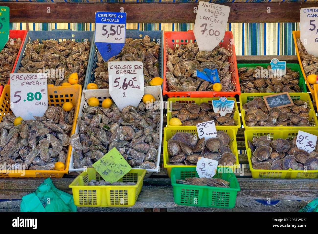 Mercato stallo con ostriche nel porto di Cancale, Bretagna, Francia Foto Stock