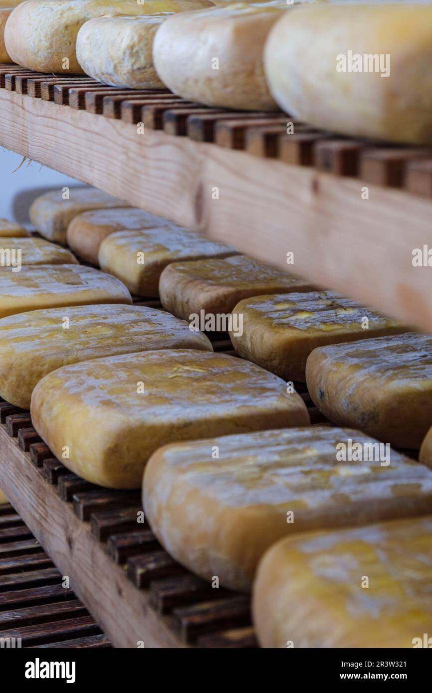Scaffali con formaggio immagini e fotografie stock ad alta risoluzione -  Alamy