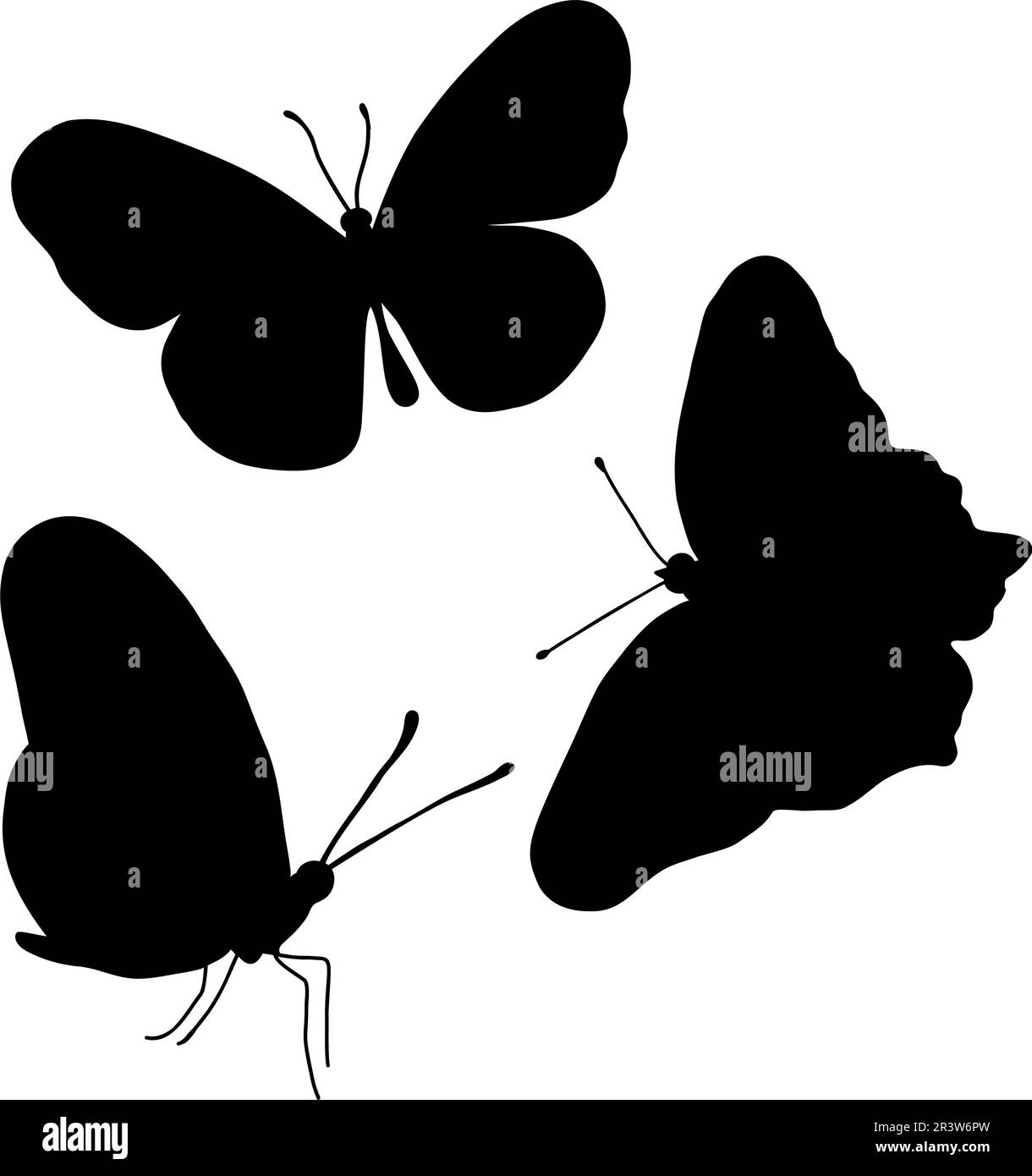 Collezione silhouette farfalla. Illustrazione vettoriale. Insetti alati isolati su sfondo bianco Illustrazione Vettoriale