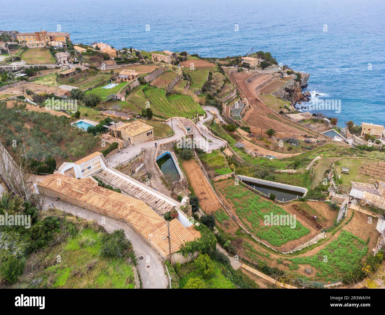 Terrazze per l'agricoltura Foto Stock