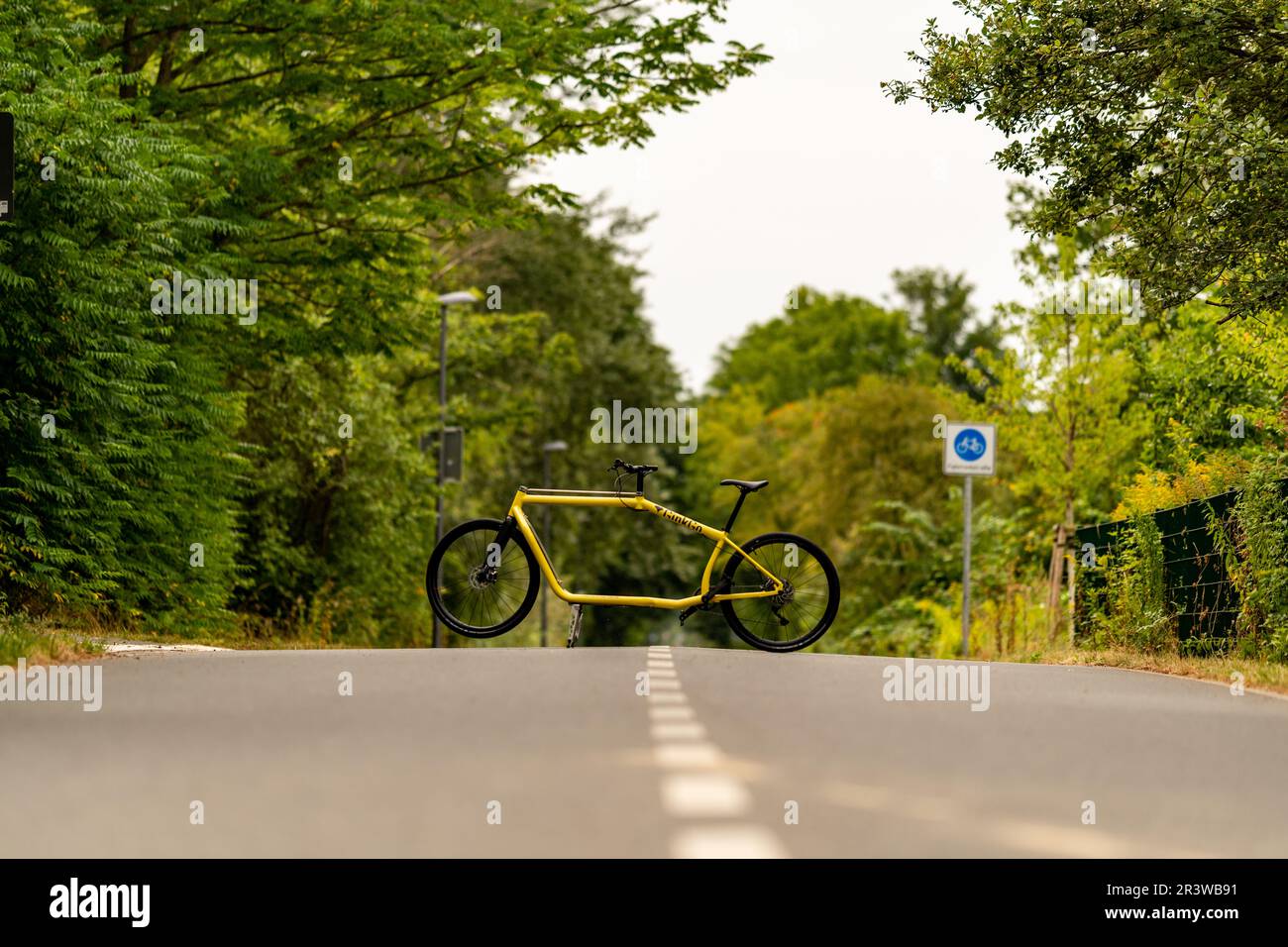 bici elettrica / bicicletta elettrica su una strada in un parco Foto Stock