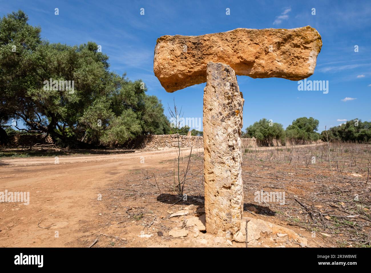 CAN Garra Seca Foto Stock