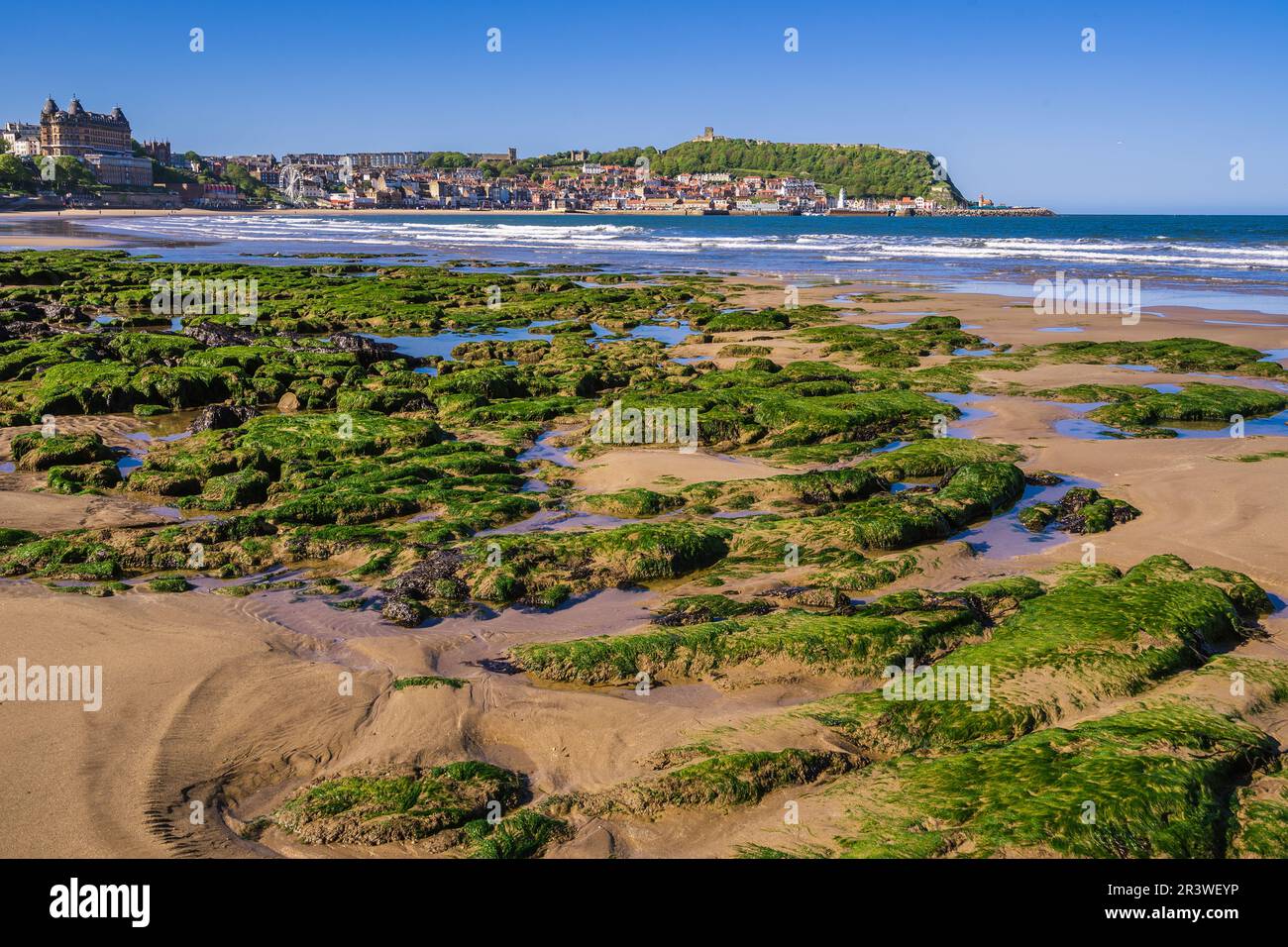 Le piscine rocciose nella South Bay, Scarborough. Dall'altra parte della baia è possibile vedere il castello, il promontorio e la città vecchia. Foto Stock