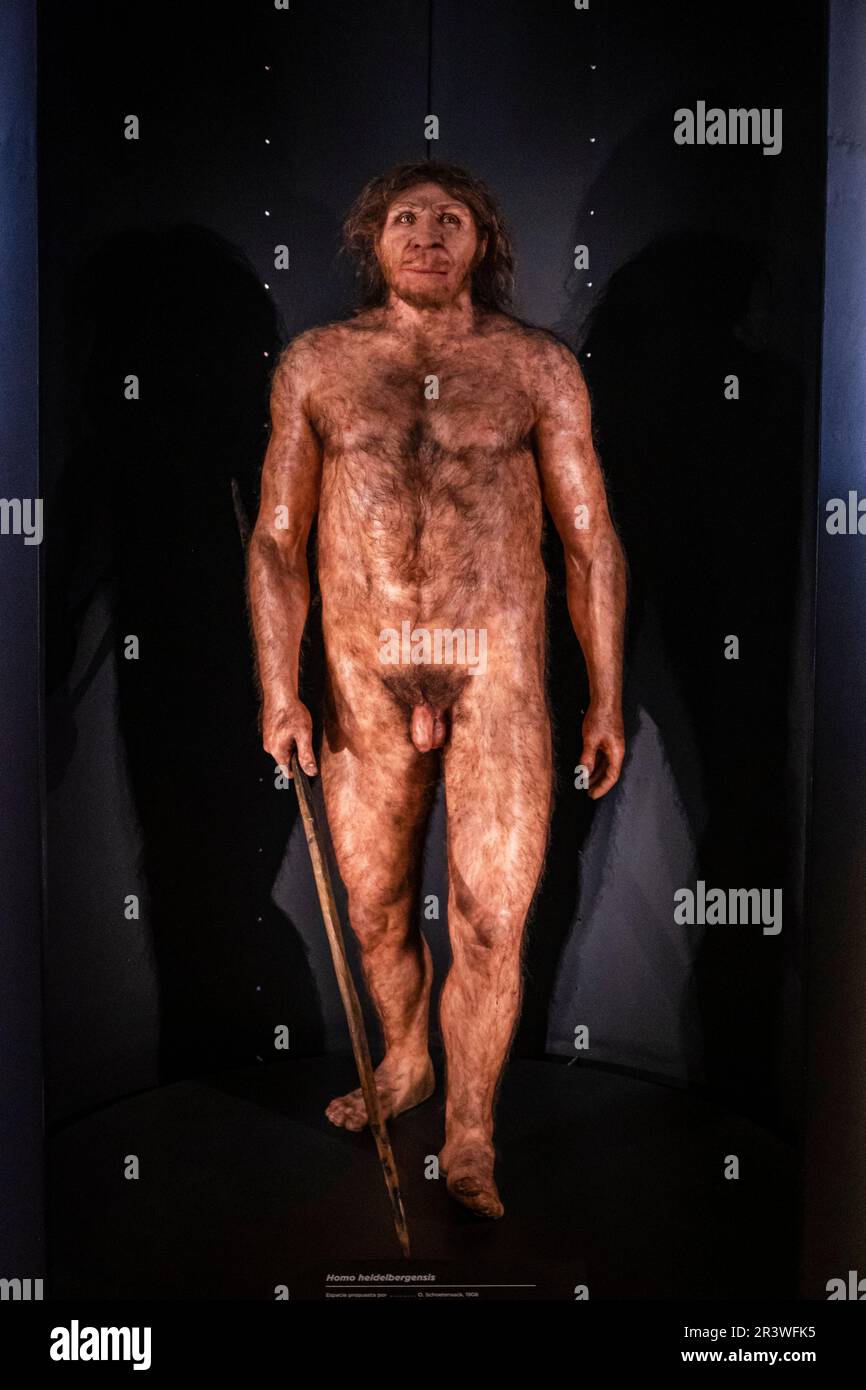 Homo heidelbergensis Foto Stock