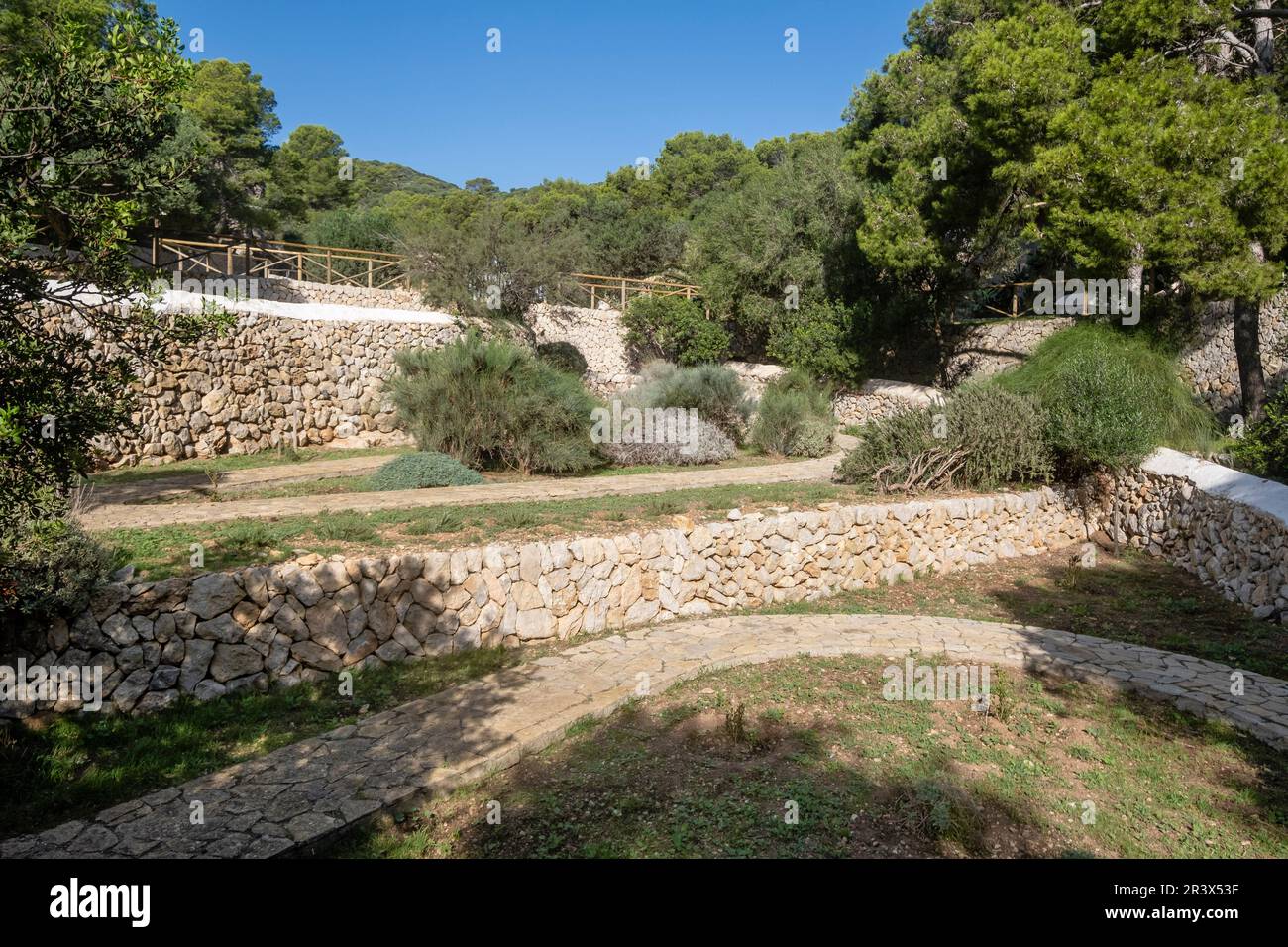 Giardino mediterraneo di piante autoctone, parco naturale SA Dragonera, Maiorca, Isole Baleari, Spagna. Foto Stock