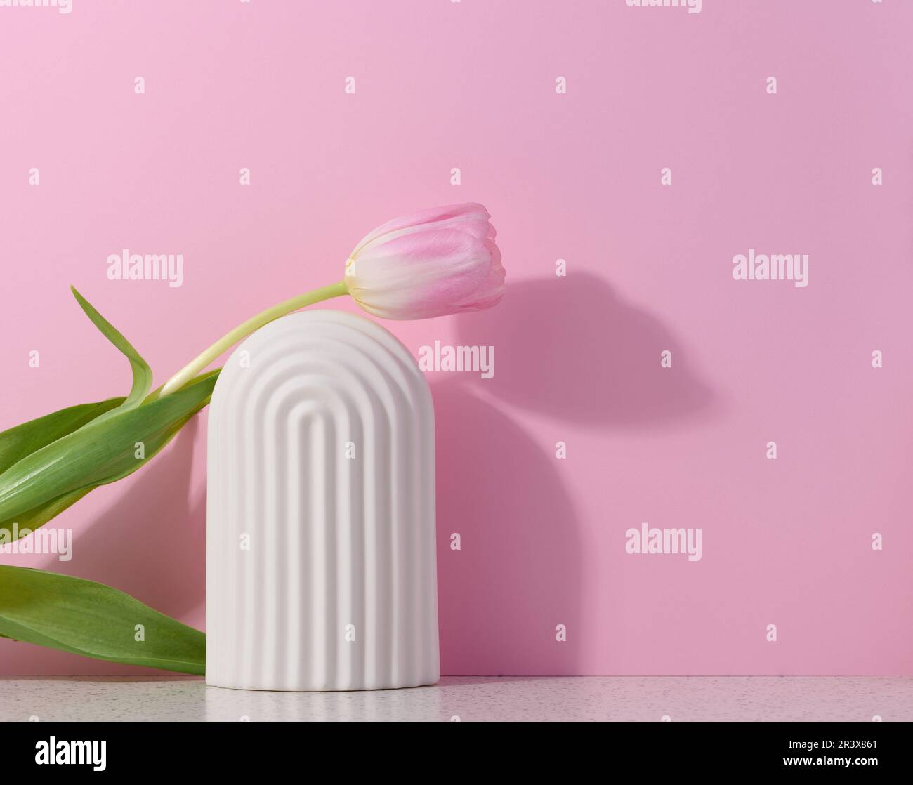 Arco decorativo in ceramica bianca su sfondo rosa, sfondo per la mostra di cosmetici, prodotti, pubblicità e promozione Foto Stock