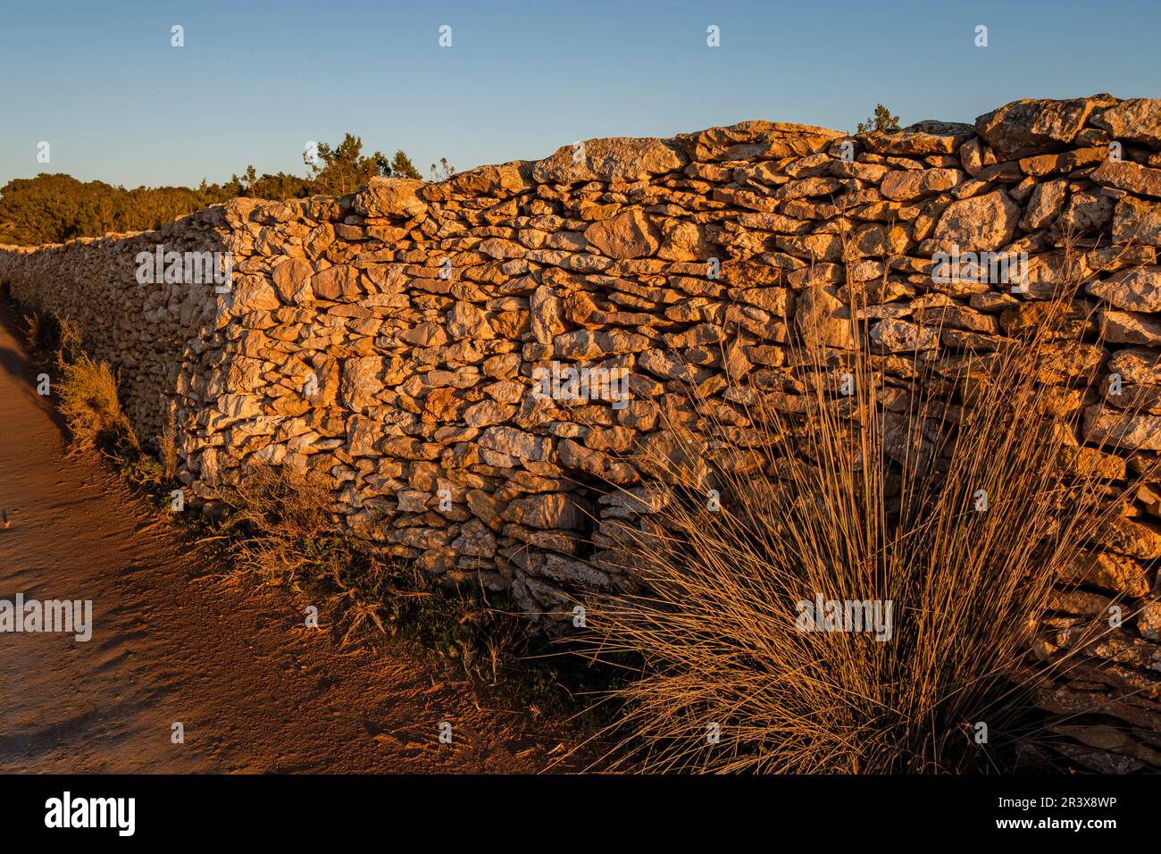 mur den Joan Blai, Estany des Peix, Formentera, Isole Pitiusas, Comunità delle Baleari, Spagna. Foto Stock