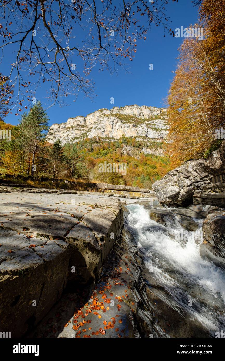 La Ripareta, Cañon de Añisclo, Parque nacional de Ordesa y Monte Perdido, comarca del Sobrarbe, Huesca, Aragón, cordillera de los Pirineos, Spagna. Foto Stock