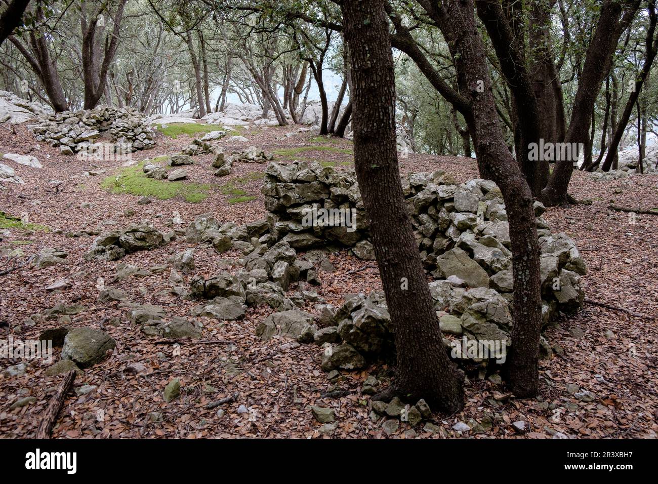 circolo de carbonera, Fita del RAM, esporles, sierra de Tramuntana, Maiorca, isole baleari, Spagna. Foto Stock