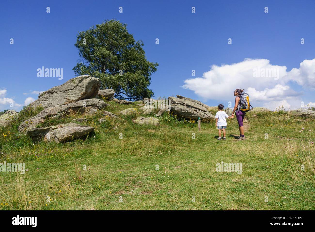 Dolmen lo Pou, sendero arqueologico de Eyne, pirineos catalanes, comarca de Capcir, Francia. Foto Stock